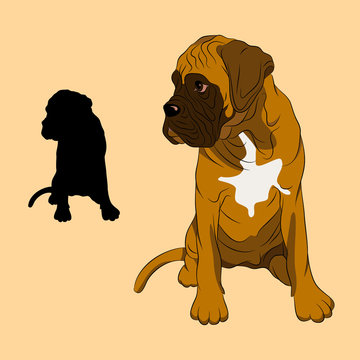 boxer dog puppy realistic vector illustration black silhouette