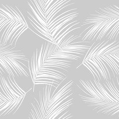 Leaves of palm tree. Tropical leaves. Seamless pattern. Vector background