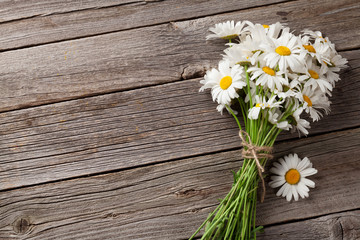 Daisy chamomile flowers