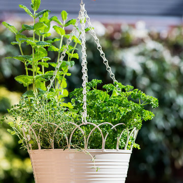 Fresh Herbs In Hanging Outdoor Basket