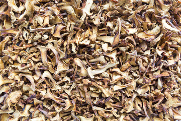 Dried chanterelle mushrooms