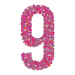 Number nine made of colorful flowers.