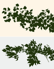 twigs of the deciduous trees