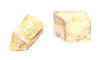 Slice of cheese. Watercolor