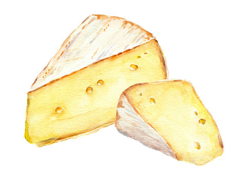 Cheese slices. Watercolor picture
