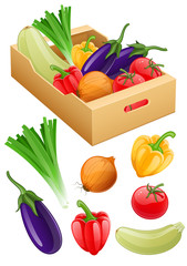 Organic vegetables fresh agriculture harvest in cardboard box