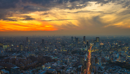 Fototapeta na wymiar Tokyo sunset aerial panoramic view