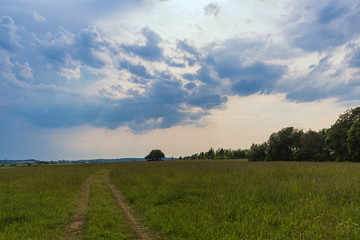 rural landscape with group of trees