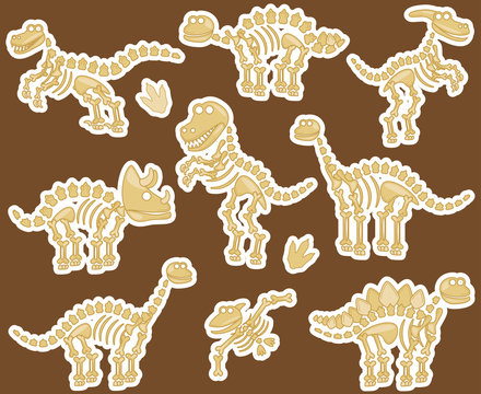 Vector Collection of Dinosaur Fossils or Bones