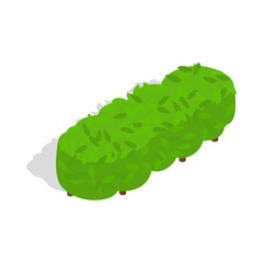 Lot of trees icon, isometric 3d style