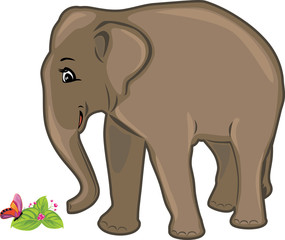 Friendly elephant