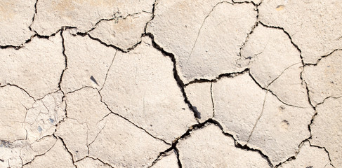cracked earth as a background. texture