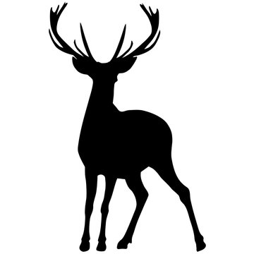 Black silhouette of a deer. Vector illustration 