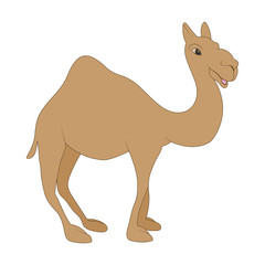 Camel icon in cartoon style