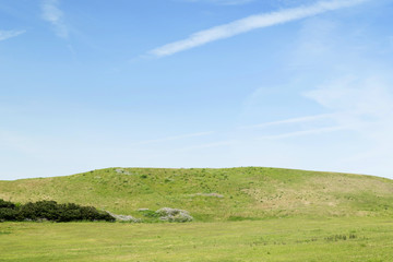 Fototapeta premium View of green grassland and blue sky with copy space.
