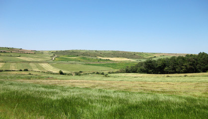 Fototapeta premium Landscapes and farmland. 