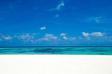 Fototapeta premium tropical beach in Maldives