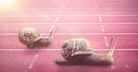 Composite image of snail on a white background © vectorfusionart