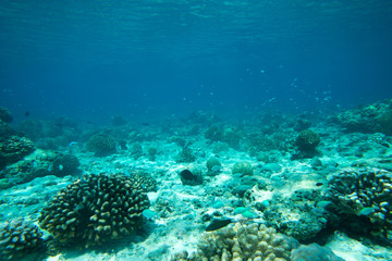  underwater