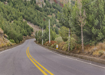 Road trough Mountains Scene Ecuador1208485