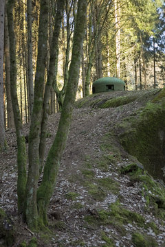 French bunker ruin near Langensoultzbach, Vosges, France. It was built before WWII as part of the Maginot Line