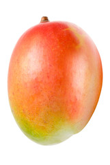 Mango isolated on white
