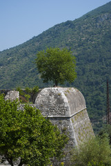 tree on a stone tower