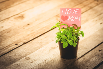 writing i love mom on card and ornamental plants in pots on wooden floor. vintage filter effect