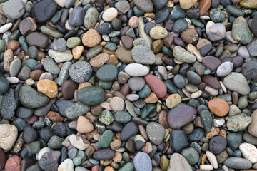 Colorful wet pebbles on the beach