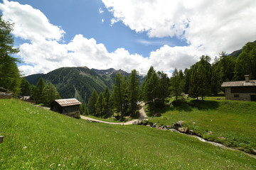 paesaggio di montagna montagne prateria spettacolo natura Alpi Trentino Italia sentiero malga maso