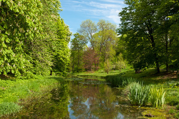 Fototapeta na wymiar Beautiful landscaping in the spring park