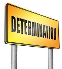 determination