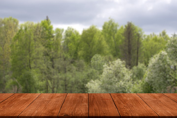 View from dark wooden gangway, table or bridge to the forest. Co