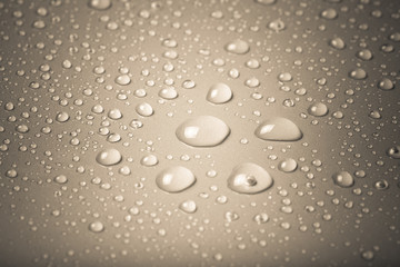 Drops of water on a color background. Gray. Shallow depth of fie