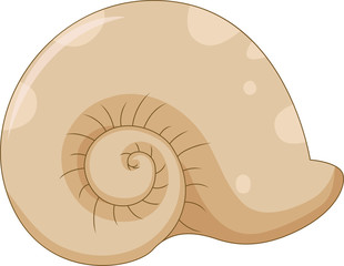 cute seashell cartoon for you design