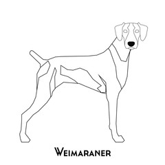 Isolated dog silhouette