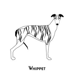 Isolated dog silhouette