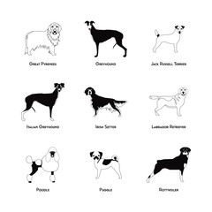 Set of dog silhouettes