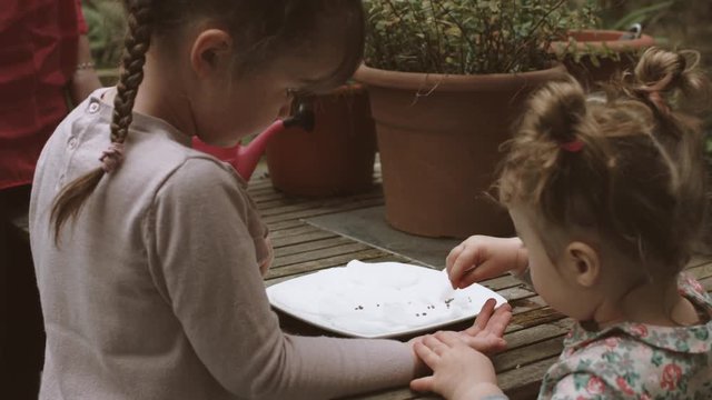 Mother helping daughters to plant seeds in tray at backyard 