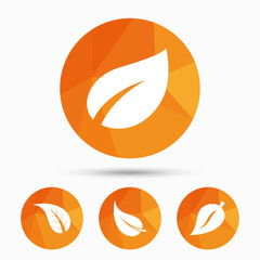 Leaf icon. Fresh natural product symbols.