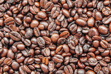 coffee bean
