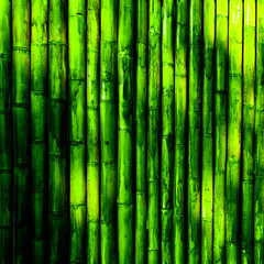 Bamboo bark