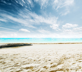 Tropical beach and sea