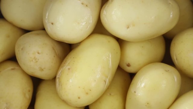 Young potato in water close up. Loop rotation. Front of the camera rotates plate with young potato