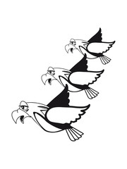 Bird fly formation fun