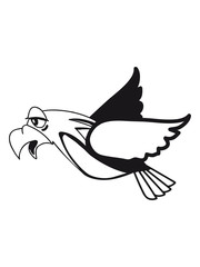 Fototapeta premium Bird flying funny