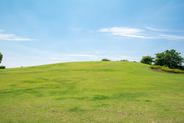 青空と芝生の公園