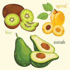 Set of fruit mix vector isolated. Healthy eat. Kiwi, apricot and avocado fruit. Natural organic food. Ingredients for a vegetarian meal. Sweet and ripe summer fruit.