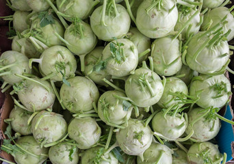 Cabbage kohlrabi sold at local farm market