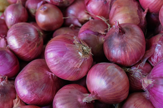 Shallot onions sold at local farm market